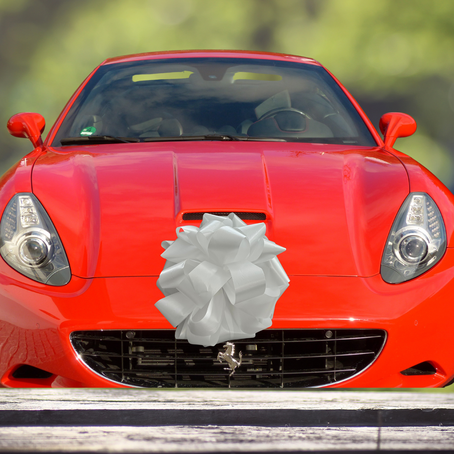 CHOUX DE VOITURE - BLANC 15PO.