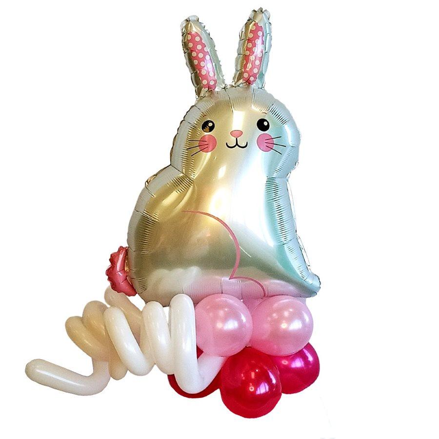 Montage de ballons gonflés à l'air