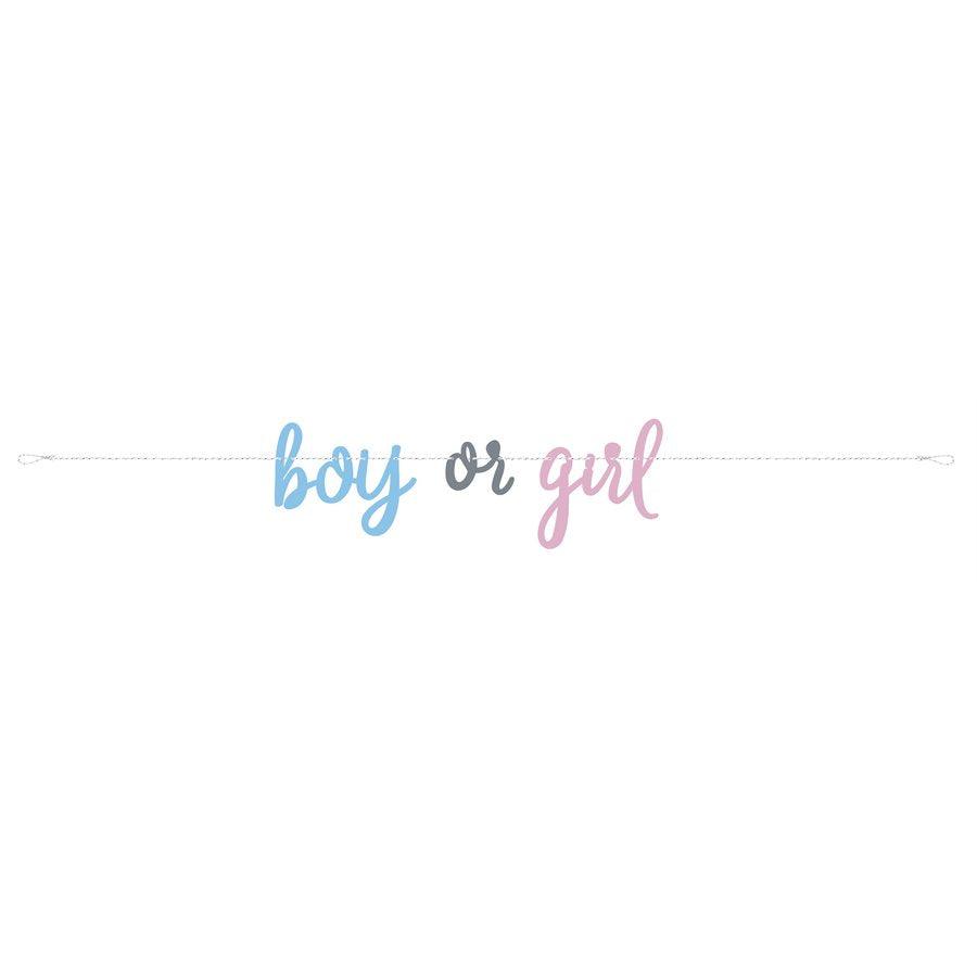 Dévoilement de Genre - Bannière Boy Or Girl 7 pi.